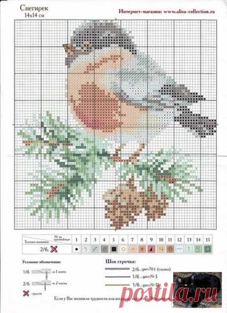 Gallery.ru / Фото #10 - Птицы на 1 листе - berbera53