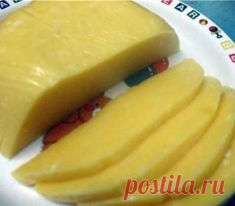 Домашний твердый сыр рецепт с фото - рецепты с фото