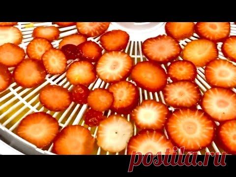 Прямой эфир. Обзор Xiaomi рисоварки и чайника. Фестиваль.