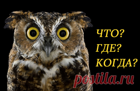 Вопросы, на которые знатоки &quot;Что? Где? Когда?&quot; не нашли ответ &amp;raquo; Женский Мир