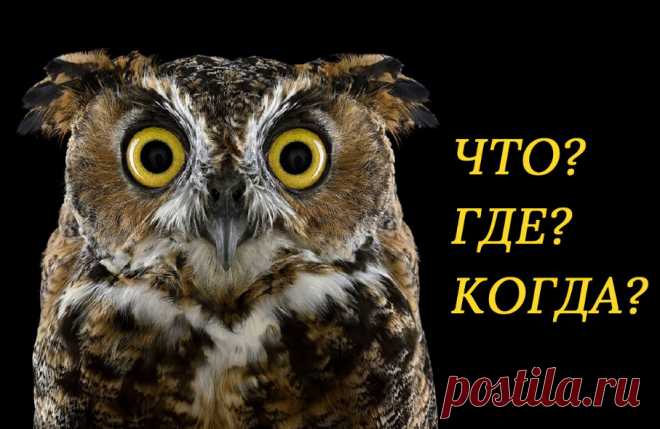 Вопросы, на которые знатоки "Что? Где? Когда?" не нашли ответ &raquo; Женский Мир