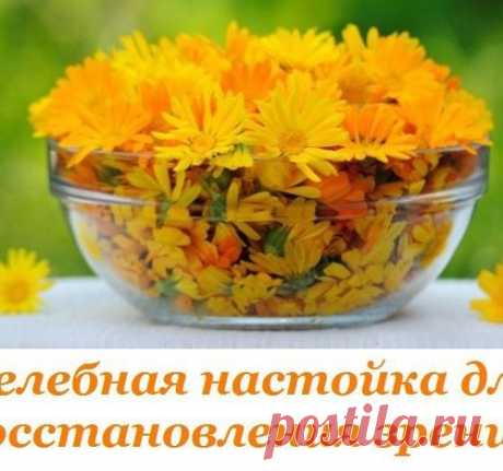 НАСТОЙКА ДЛЯ ВОССТАНОВЛЕНИЯ ЗРЕНИЯ.