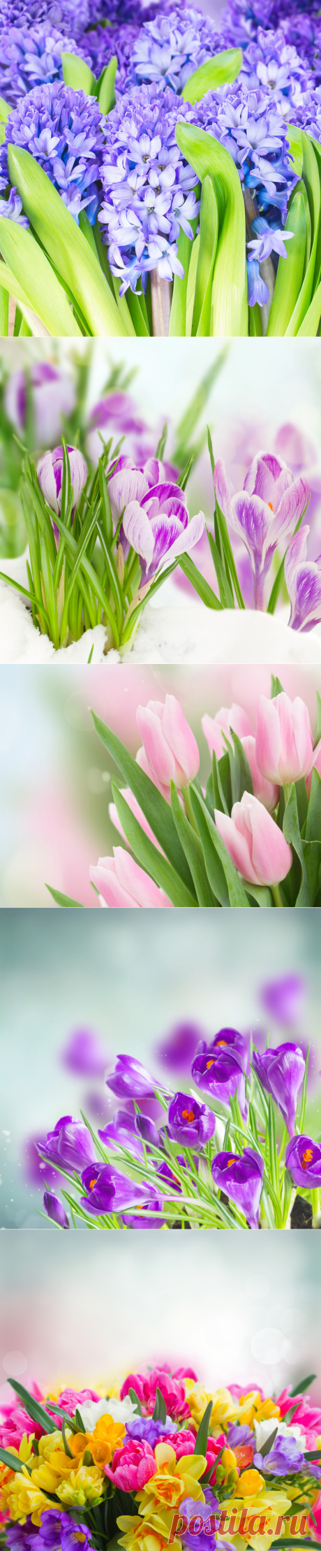 Весенние фотообои для творчества.