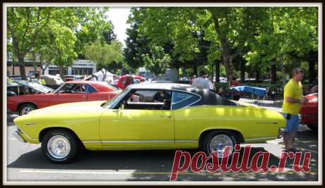 1969 Chevrolet Chevelle Malibu SS 350 (Custom) 1