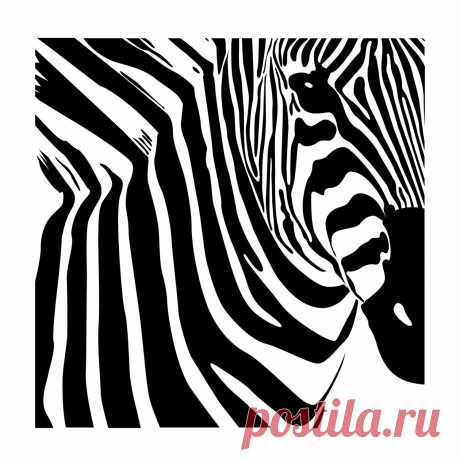 Zebra Frame Wall Decal Custom Vinyl Art Stickers | Etsy