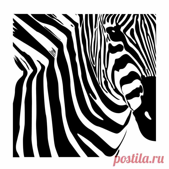 Zebra Frame Wall Decal Custom Vinyl Art Stickers | Etsy