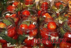 5 простых рецептов закруток с помидорами.
Малосольные помидоры быстрые
Ингредиенты:
Перец черный горошек - 2 штуки
Перец душистый - 2 штуки
Укроп - 1 пучок
Хрен - 0,5 штуки
Чеснок - 2 зубчика
Соль - 1,5 столовые ложки
Томат (помидор) красный - 1 килограмм.
Приготовление
Все указанное количество ингредиентов рассчитано на 1 литр готового 
продукта!
1. Мытые помидоры укладываем в банку. Постарайтесь выбрать мелкие и зрелые томаты.
2. В каждую из банок добавляем укроп вместе со стеблями, листья чер