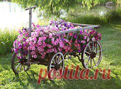 Старая тачка для цветов. Идеи для сада

Старую износившуюся садовую тачку не нужно выбрасывать, у нас в хозяйстве все пригодится, особенно если есть при доме клумба или же имеется дача. Старую тачку очень красиво и удачно можно вписать в ландшафт, засадив роскошными летними цветами.
•••подробнее







•••в продолжении ещё фото