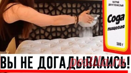 Неумывакин: Целебные возможности соды - поиск Яндекса по видео