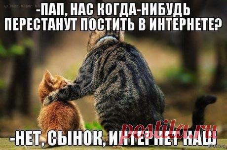 интересно и смешно