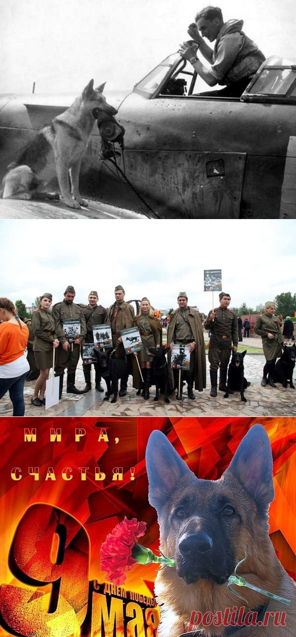 Ко Дню Победы – Блог. Run, пользователь Марина Николаева | Группы Мой Мир