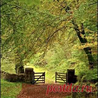 Photo by Regina Rocha Lima on February 05, 2021. May be an image of nature and tree.