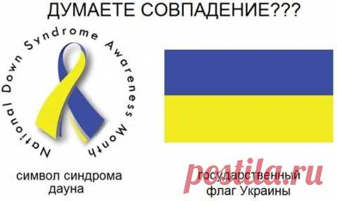 Пузырь киевской пропаганды лопнул от вранья. Как один политолог вдруг вскрыл всю систему «промывания мозгов»