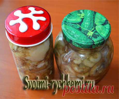 Соленые грузди. Рецепт засолки с пошаговыми фото