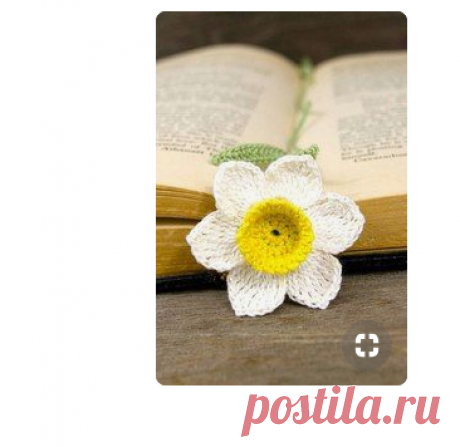 (139) Pinterest
