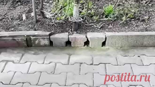 когда руки растут из нужного места (480p).mp4