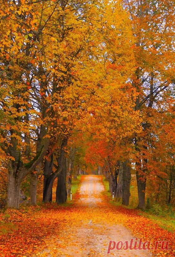 Pinterest