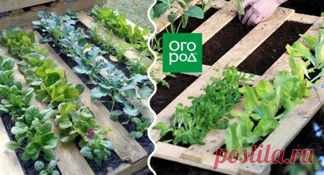 Полезные мелочи для дачи своими руками: 11 интересных идей | Полезно (Огород.ru)