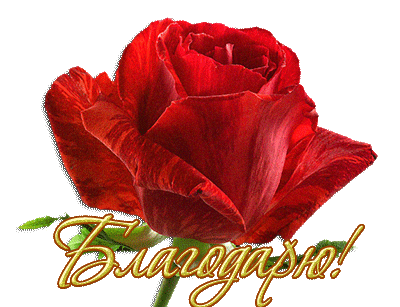 Мусон Бусон - Турция, 62 года на Мой Мир@Mail.ru