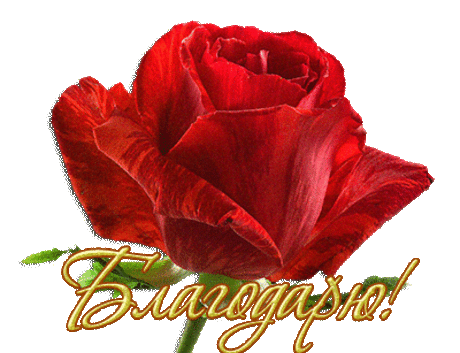 Мусон Бусон - Турция, 62 года на Мой Мир@Mail.ru