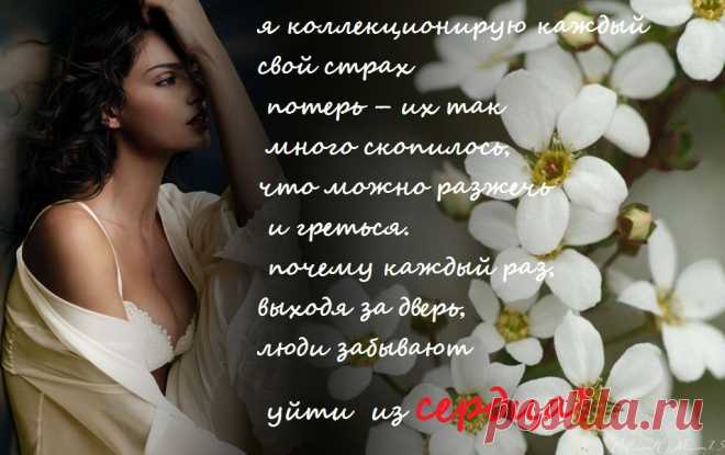 Плейкаст «Люблю...»