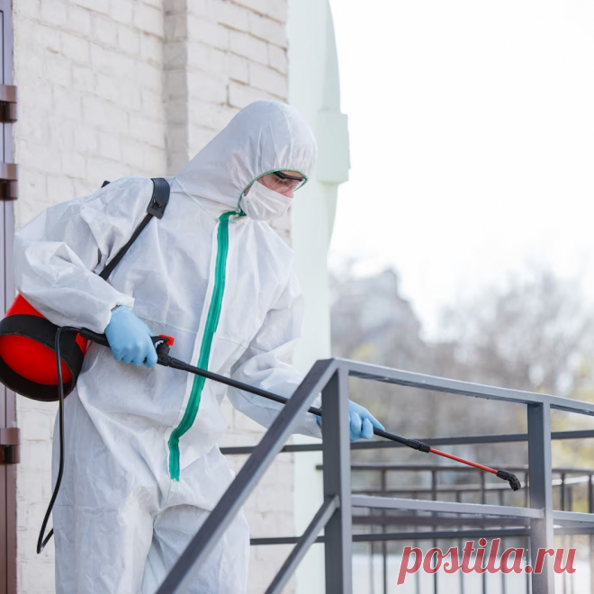 🪰 Профессиональные услуги городской санитарной службы под ключ
🧐 Большой опыт 🤩 Индивидуальный подход 💖 Приятные цены
🌍 Работаем круглосуточно, в 30 городах России 📞 +7(804)700-09-30