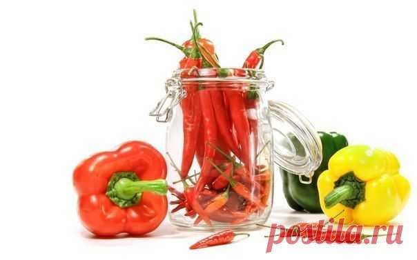 Дневник Таня_Кононенко