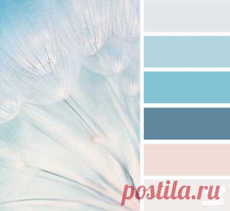 Design Seeds® | find your palette