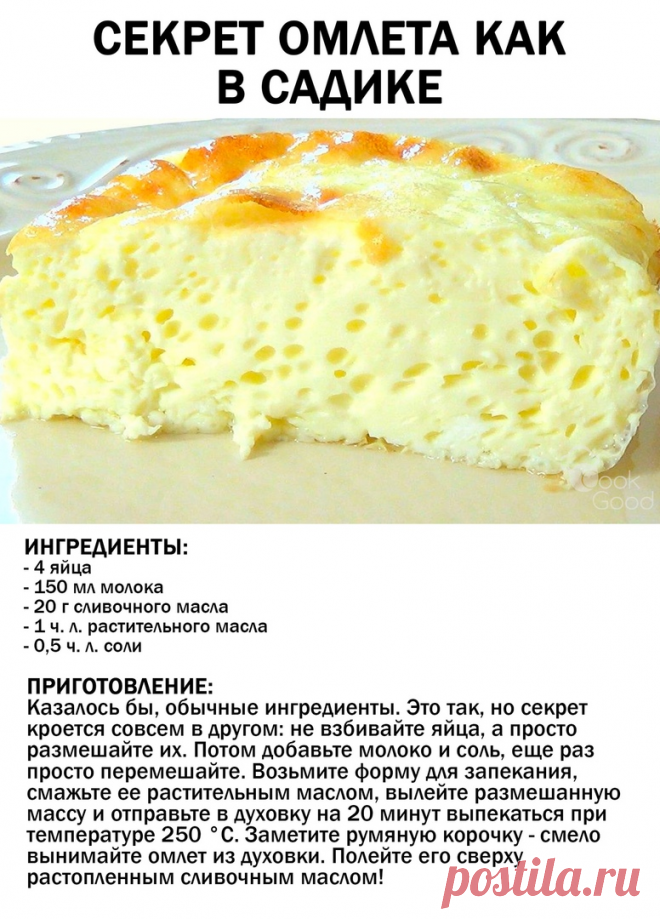 Фотография в альбоме «Гифы»