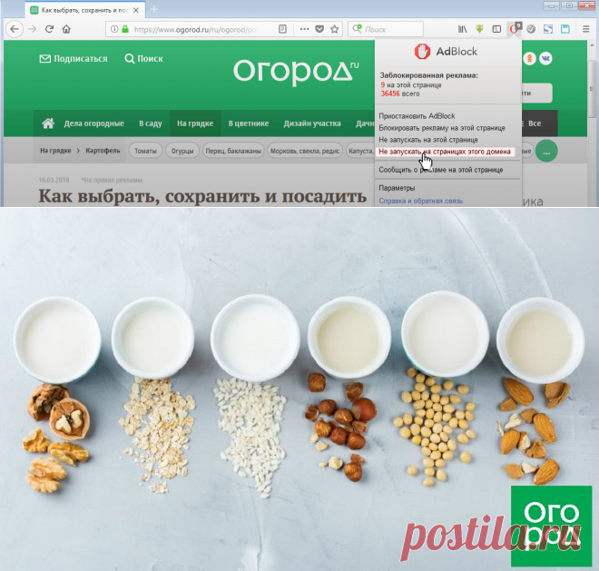 Кокосовое, миндальное, овсяное: вся правда о растительном молоке | Полезно (Огород.ru)