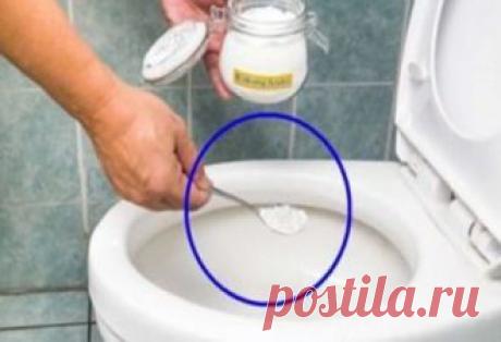 Ваш унітаз буде завжди виблискувати від чистоти і приємно пахнути свіжістю! А потрібно для цього - майже нічого! Неприємний запах в туалеті проблема, яка часто виникає практично в будь-якому будинку. Зараз, звичайно вже винайшли багато всяких хімічних засобів, за допомогою яких цілком швидко можна позбутися неприємного запаху, але якщо ви не зовсім довіряєте сучасним засобам, ми з радістю запропонуємо вам альт