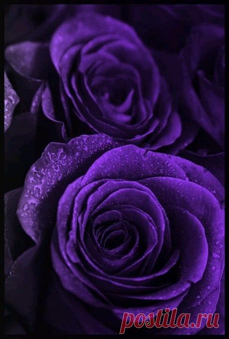 (20) Pinterest: инструмент для поиска и хранения интересных идей