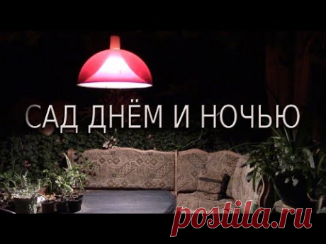 МОЙ САД ДНЁМ И НОЧЬЮ!