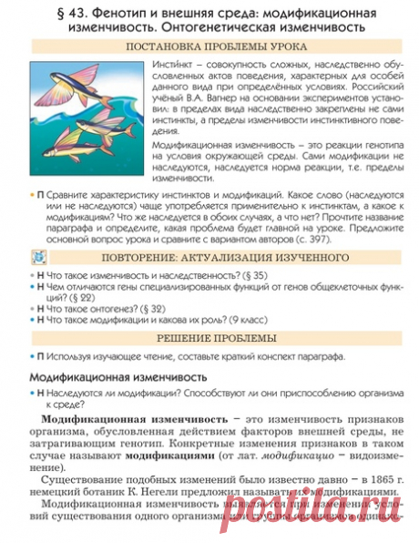 Фенотип и внешняя среда: модификационная изменчивость. Онтогенетическая изменчивость
