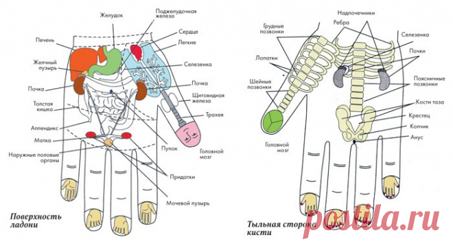 Новости - МирТесен