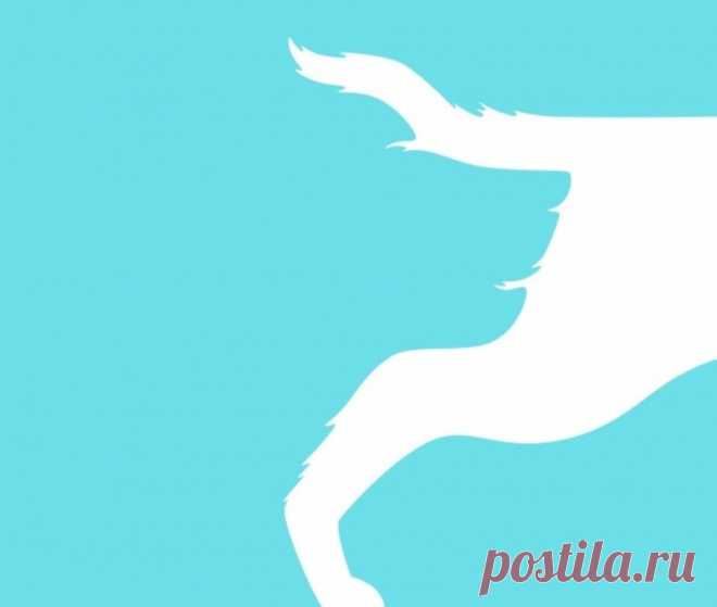 Что вы увидели на картинке? Ответ расскажет о вашей личности