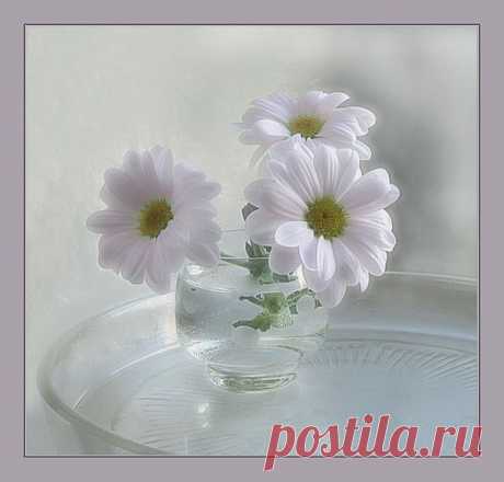 Alina @ СВЕТ (алинка), Германия на Мой Мир@Mail.RU