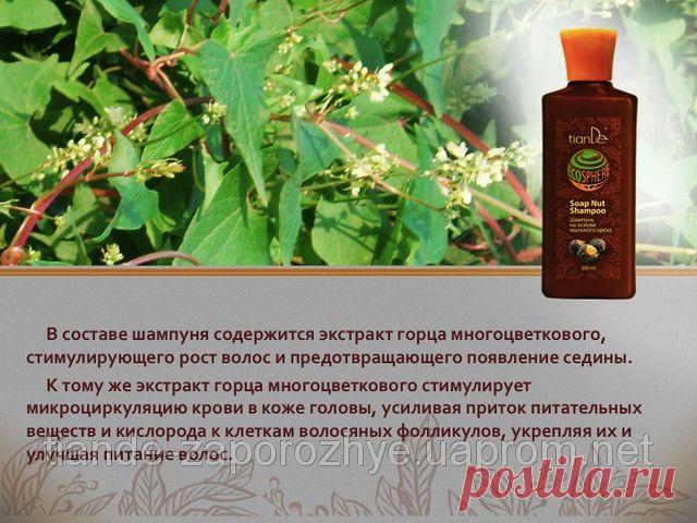 Купить Шампунь на основе мыльного ореха, 300 мл Запорожье и Украине от компании "ТианДе"