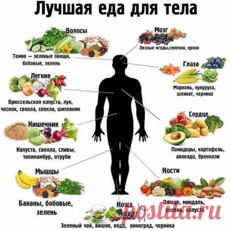 Мы - это то, что мы едим! Подсказки правильного питания, в картинках! Сохраните для себя эту полезную информацию! | Юлия Жданова | Яндекс Дзен