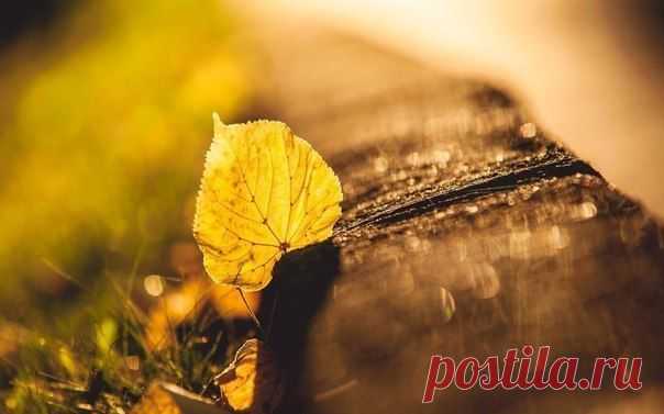 15 цитат, меняющих жизнь | Хитрости Жизни