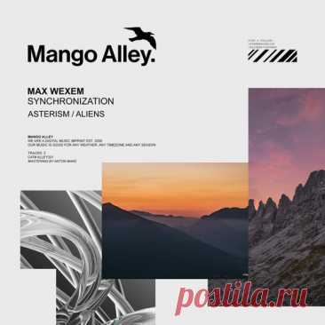 Max Wexem - Synchronization [ALLEY331] free download mp3 music 320kbps