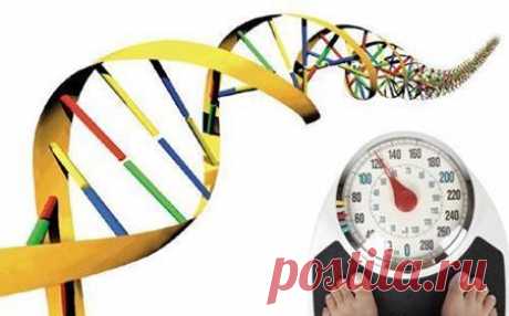 Не можете похудеть? Возможно, дело в ваших генах. Bodykey – персональная программа контроля веса. Ждем вас 4 декабря в гостинице «Волгоград». Подробности по тел.: 8-917-333-62-11 или почте galainter@mail.ru