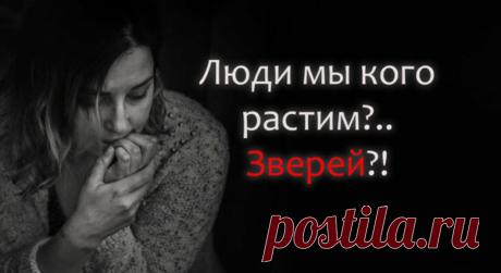 SOS — люди! Мы кого растим?..зверей?!