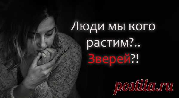 SOS — люди! Мы кого растим?..зверей?!