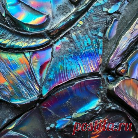 Carlita, Andre Zimmer - Raf