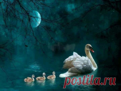 хх