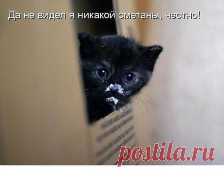 (99) Одноклассники