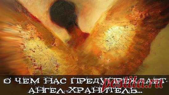 О чем нас предупреждает ангел-хранитель...
У каждого человека есть свой ангел-хранитель. И он обязательно пошлет знак, чтобы предупредить о предстоящей опасности, неудачной, нежелательной встрече. Когда на нашу голову начинают сыпаться неприятности, мы горестно вздыхаем: 