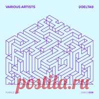 VA - Purple Box [Delta9 Recordings] - HOUSEFTP