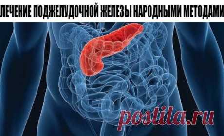 ЛЕЧЕНИЕ ПОДЖЕЛУДОЧНОЙ ЖЕЛЕЗЫ НАРОДНЫМИ МЕТОДАМИ 
То, чего не расскажет ни один врач!
Поджелудочная железа — один из важных внутренних органов 
человеческого тела, который отвечает за наше пищеварение. Сбой в работе поджелудочной чреват осложнениями и целым рядом заболеваний, таких как панкреатит или сахарный диабет. К счастью, есть прекрасные народные средства, которые помогают лечить этот орган не хуже лекарств. Если у тебя есть проблемы с этим важнейшим органом — наша статья для тебя!
Рецепт №